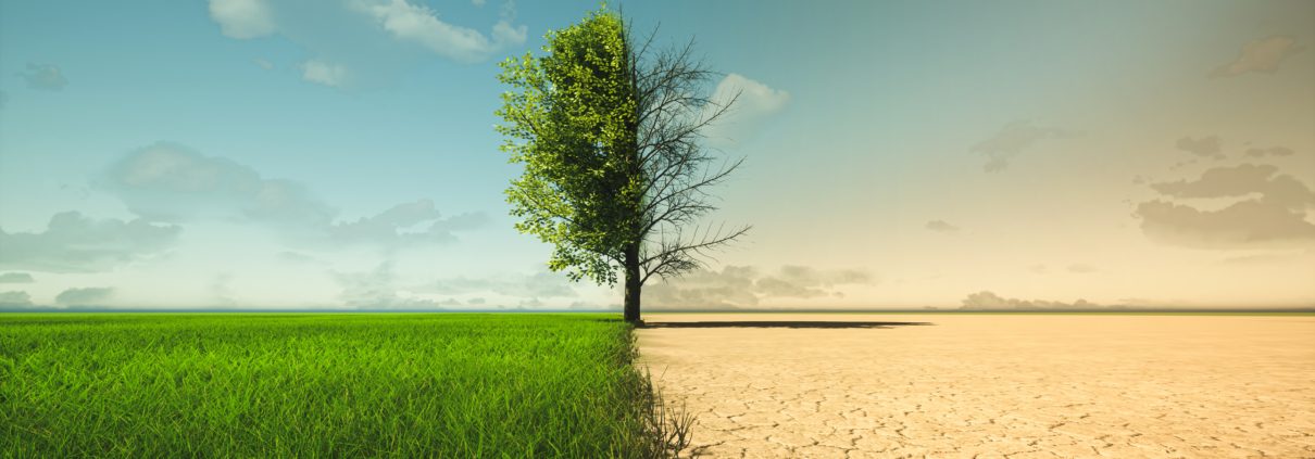 Climate Change