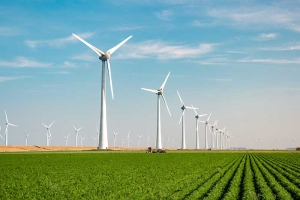 8-Ways-To-Let-Your-Values-Guide-Your-Money-Decisions,-According-to-Experts